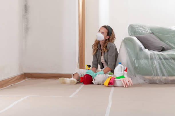 Trusted Mold Testing service in Andover, MA - WQB Mold Removal